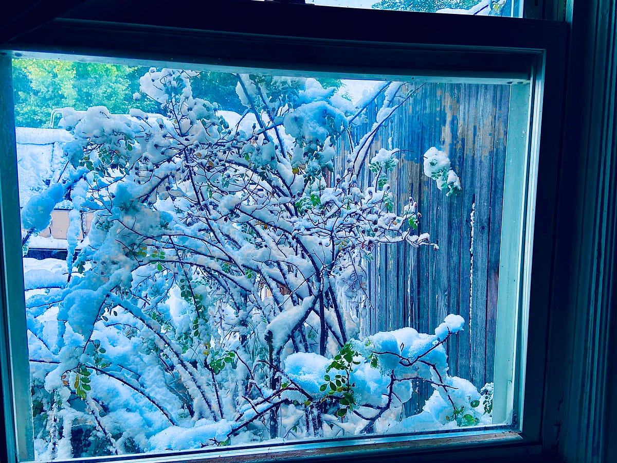 Ten Years and A Snowy Window Six Word Photo Story Challenge Medium