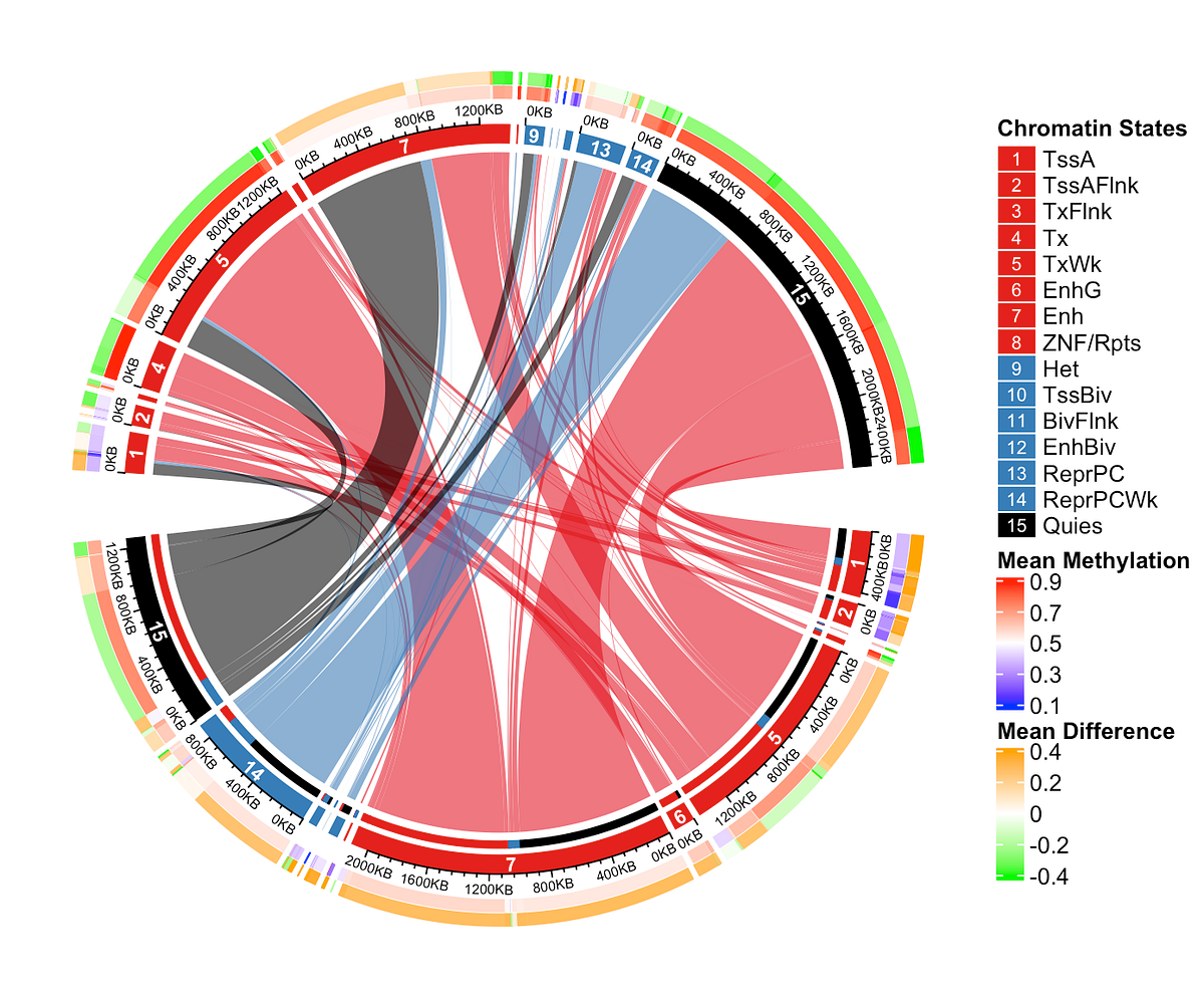 How to create a chord diagram and add legends in R | by timxymo | Medium