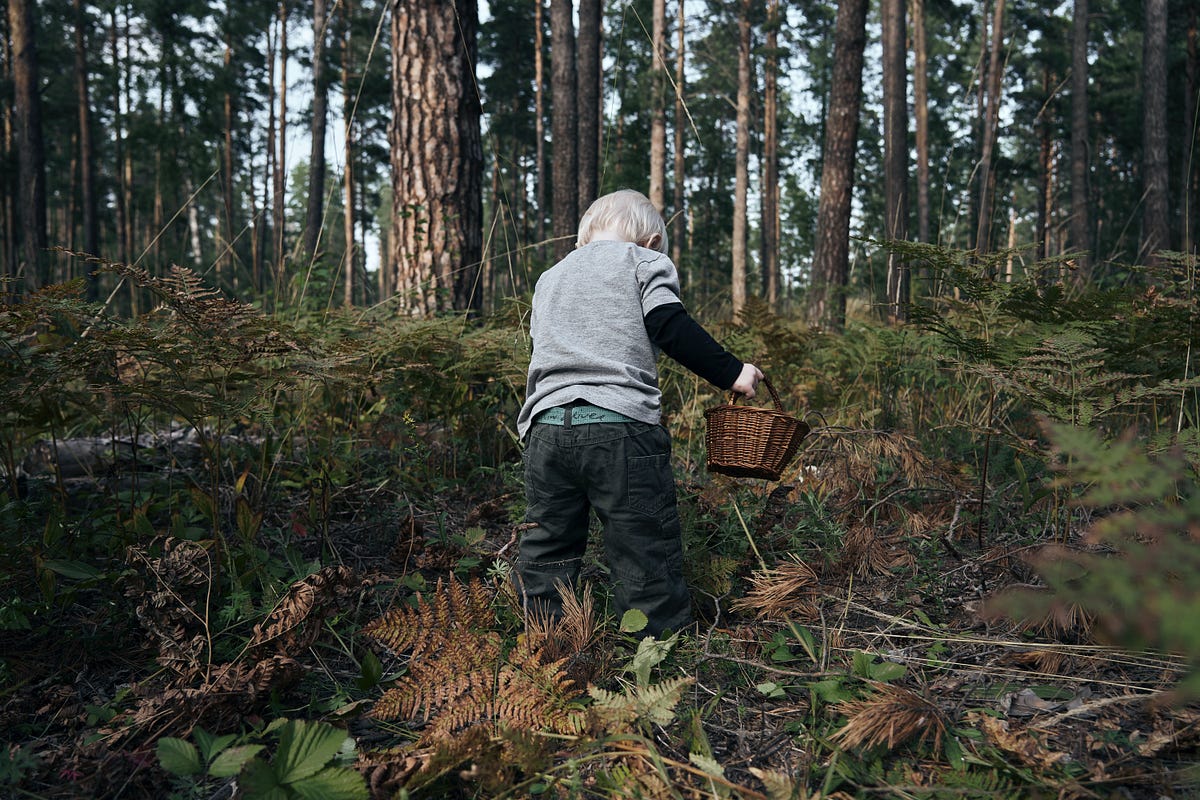 Be a Generous Writer. too many ungenerous, worse, clever… | by Scott C ...