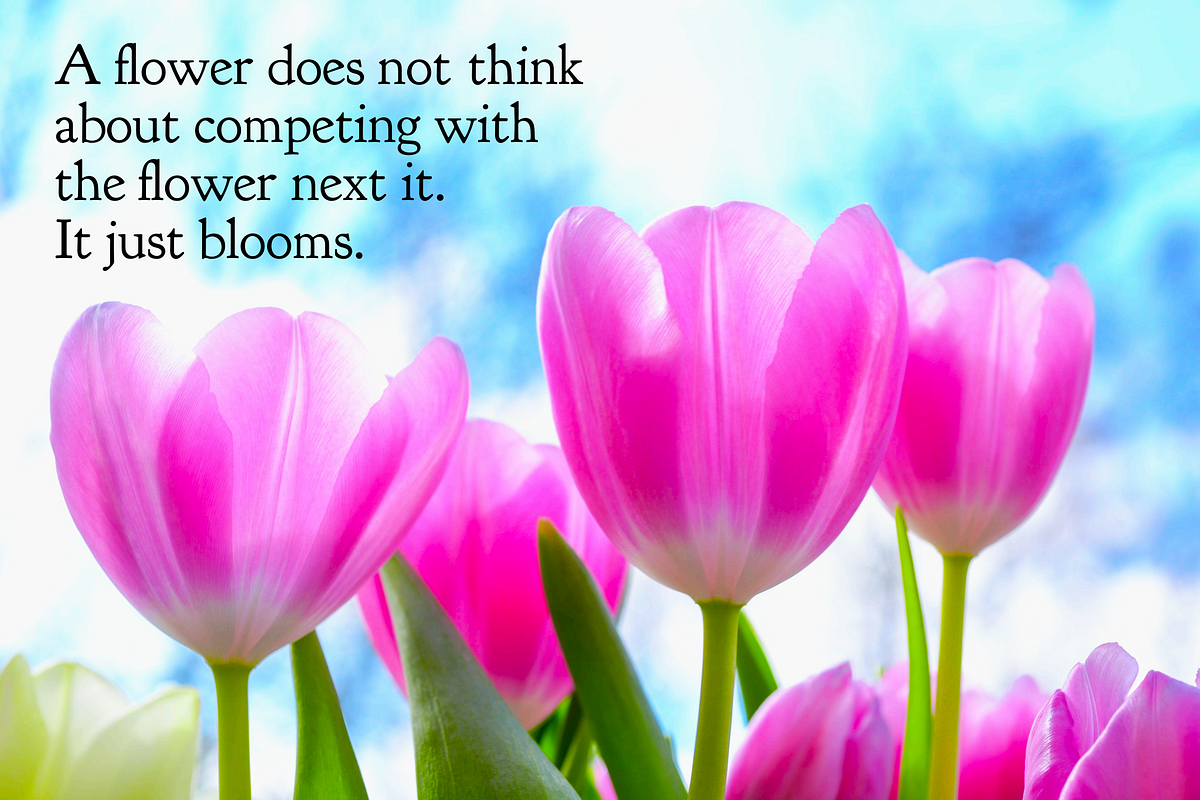 Comparison Rabbit Holes. How often would you say you’re guilty… by