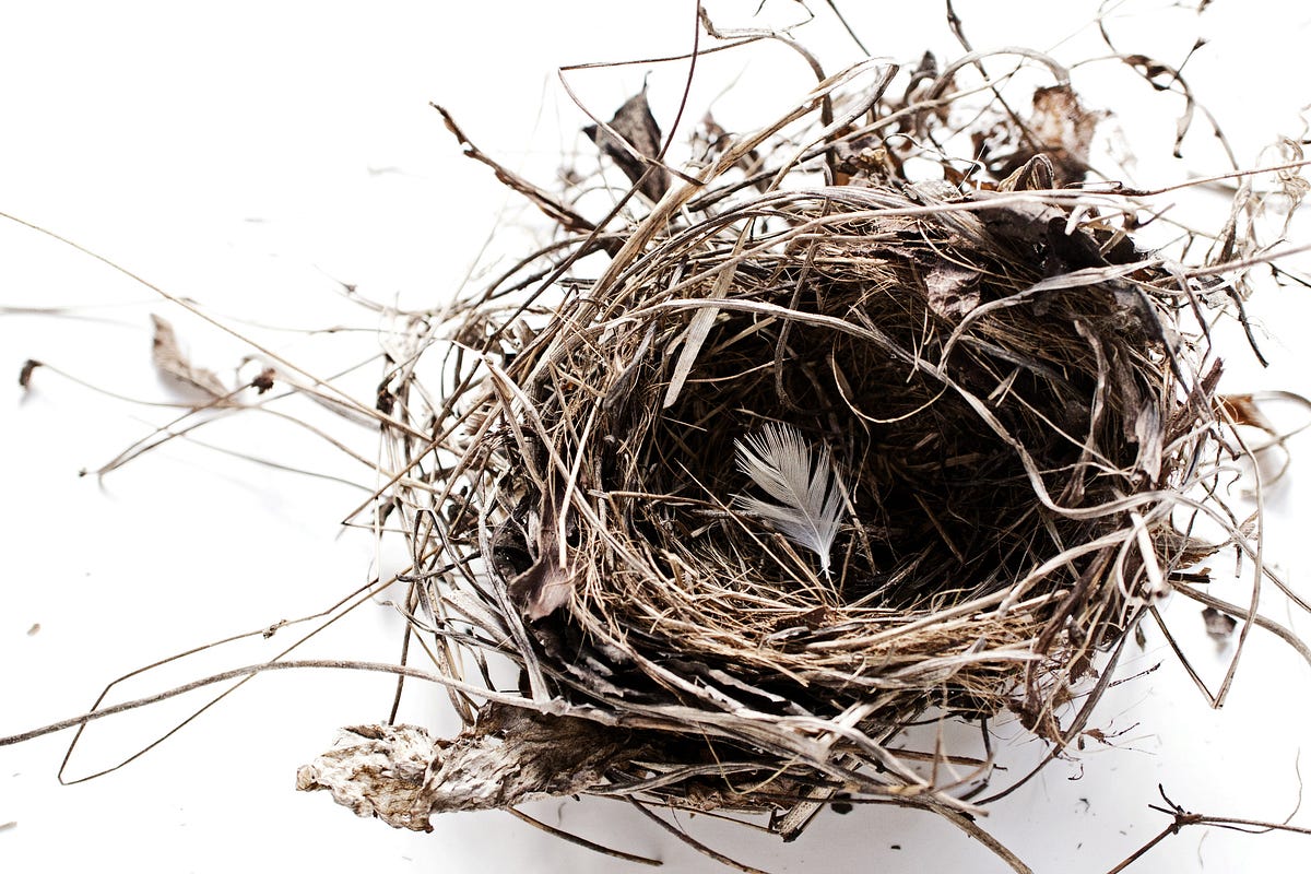 Changeability: the open space of the empty nest.