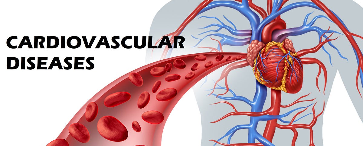Cardiovascular Disease. Cardiovascular diseases involve the… | by