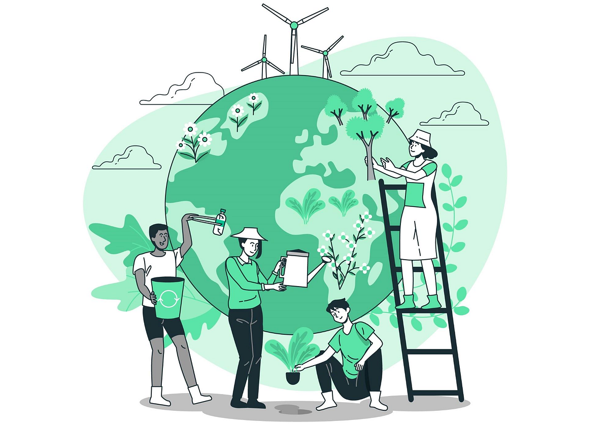 Applying the principles of permaculture for a more sustainable design ethos  | by Dora Cee | UX Collective