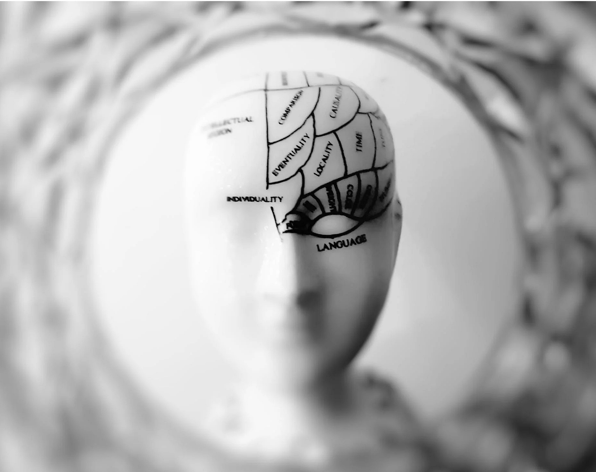 When Developers Leave - Where Does the Knowledge Go?