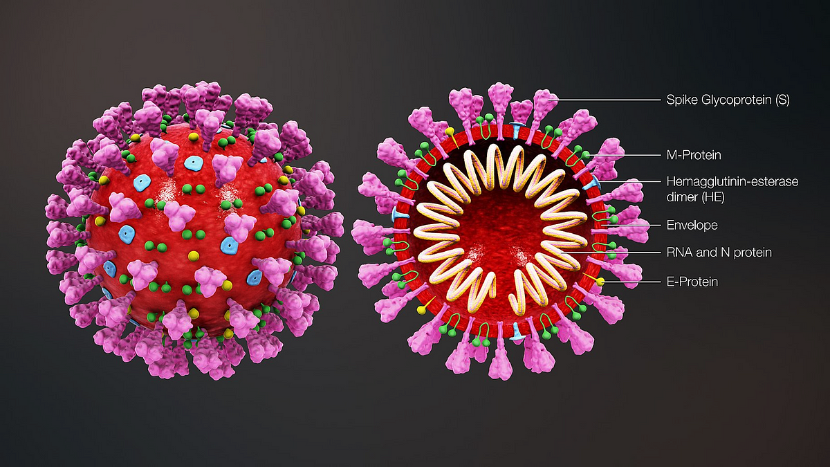 Chasing the Data: Coronavirus