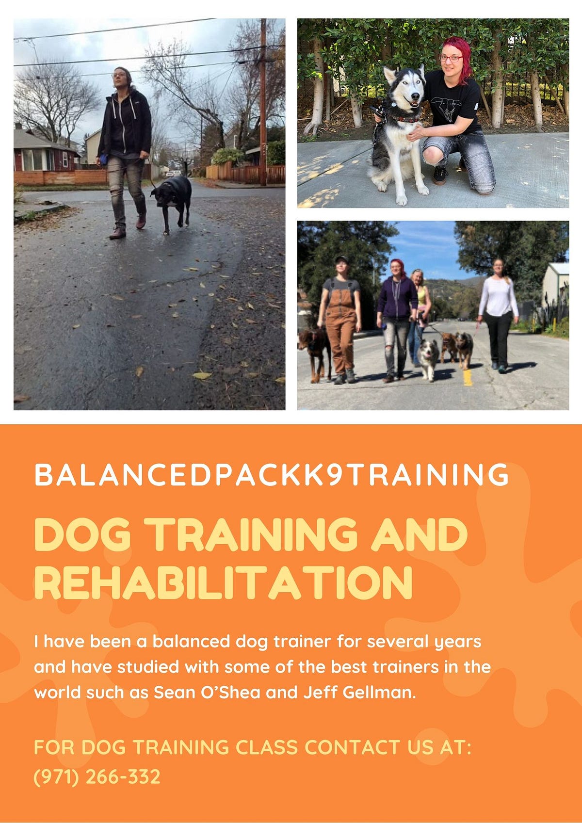 Balanced dog Training Portland — BalancedPackK9Traininng by