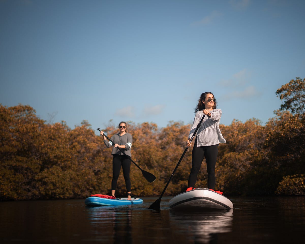 HOW TO CHOOSE THE RIGHTSIZE SUP PADDLE by Irockerpaddleboardca Medium