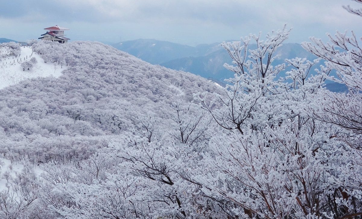 三重的冬日慶典 日本的四季分明 送走紅葉後便迎來了純白色的冬季 令人十分期待 日本各地都會趁著這 By 是日太郎