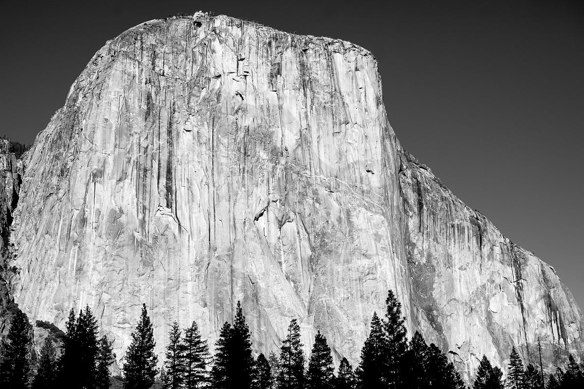"Free Solo" Review: A human-nature documentary as grounded ...