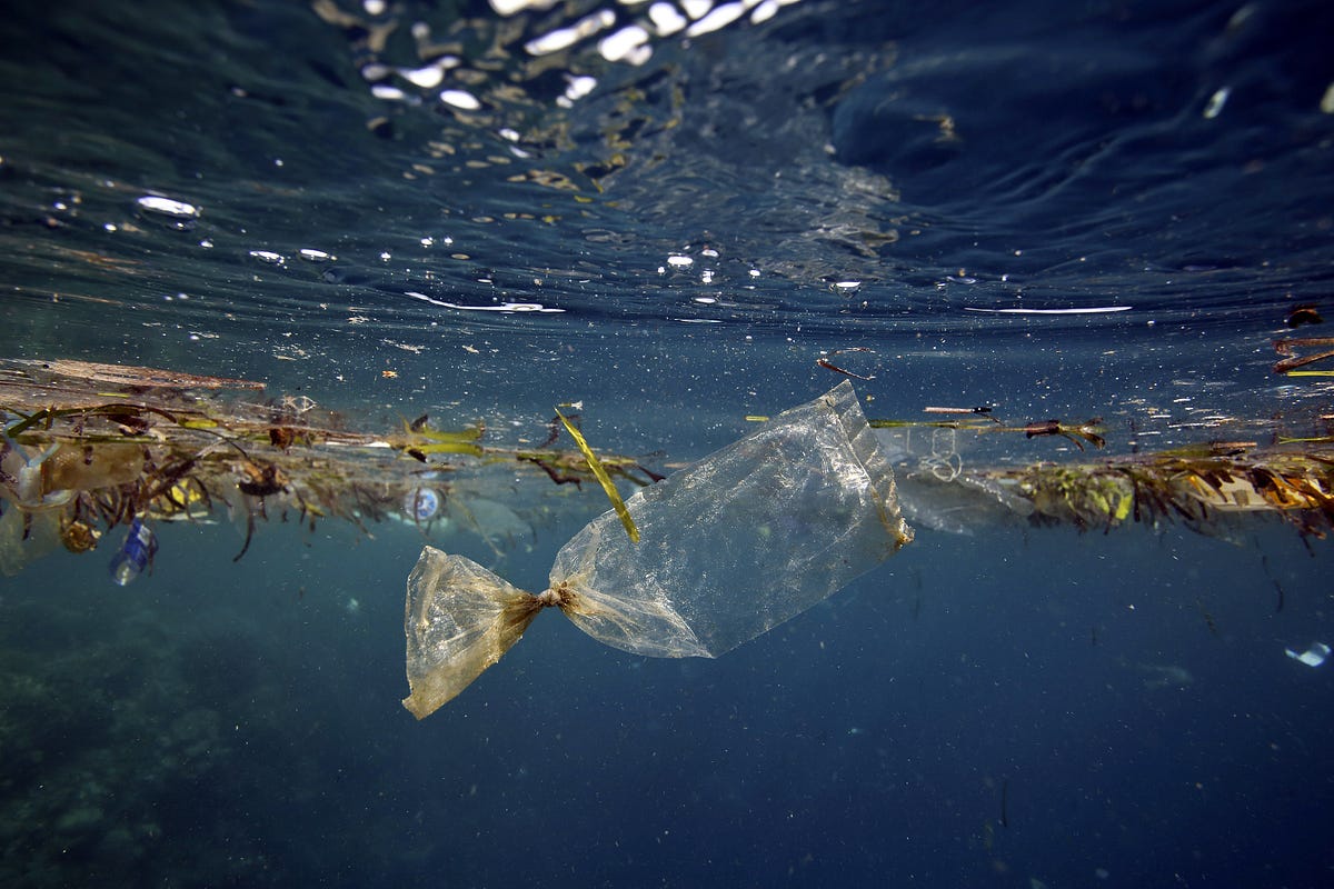 Ocean Pollution. “Each year, billions of pounds of trash… by Eco Pals