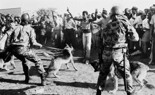 Total Strategy Defending Apartheid South Africa BitMari Medium
