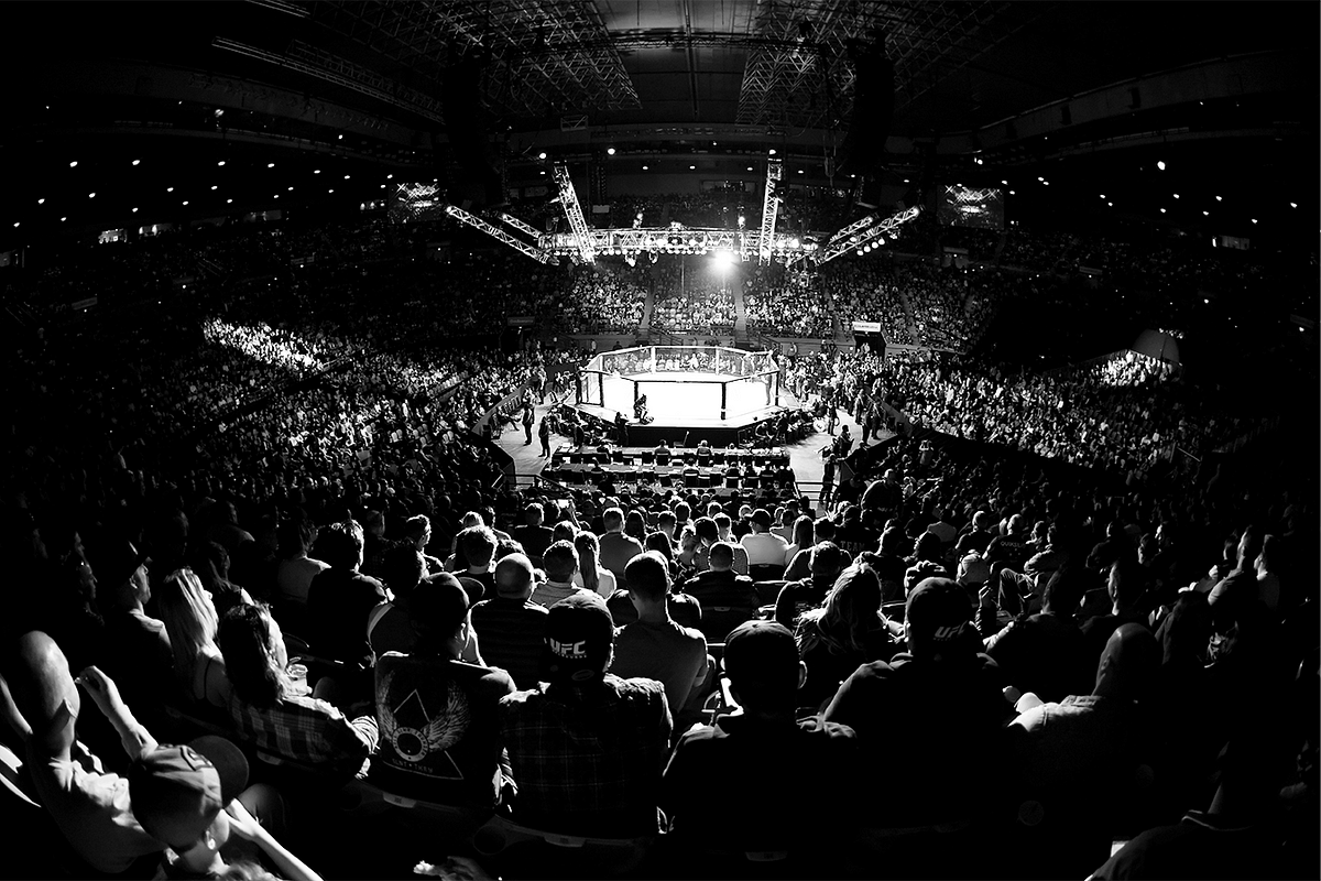 Enter the Octagon: UFC on Flow brings MMA to crypto | by ...