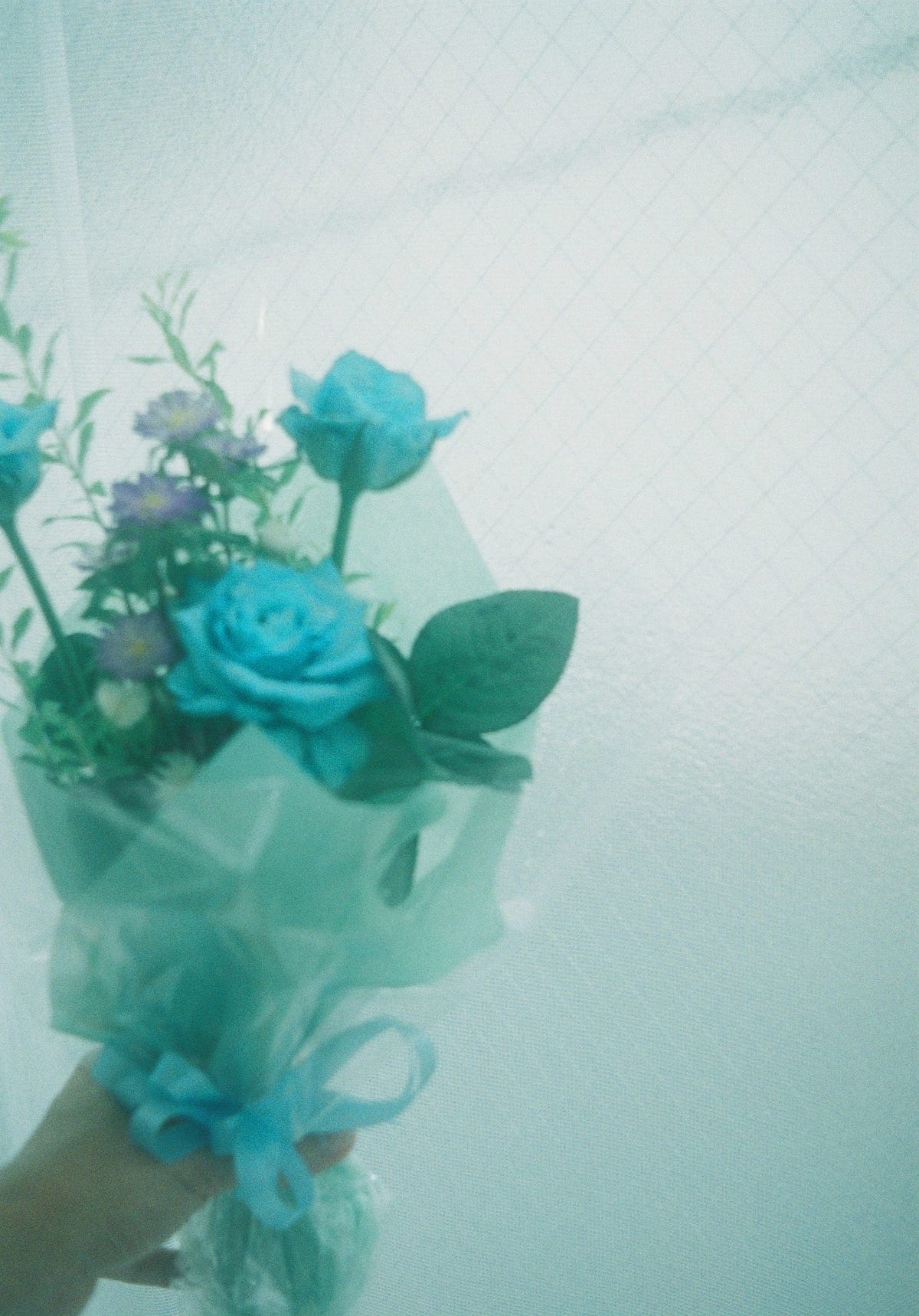 花が好きな男性についての私見 花が好きな男性って 醜さを切り落として美しい部分だけ見たいという願望が少なからず By Yamaguchi Akihiro Medium 花が好きな男性についての私見 花が好きな男性って 醜さを切り落として美しい部分だけ見たいという願望が少なからず By Yamaguchi Akihiro Medium