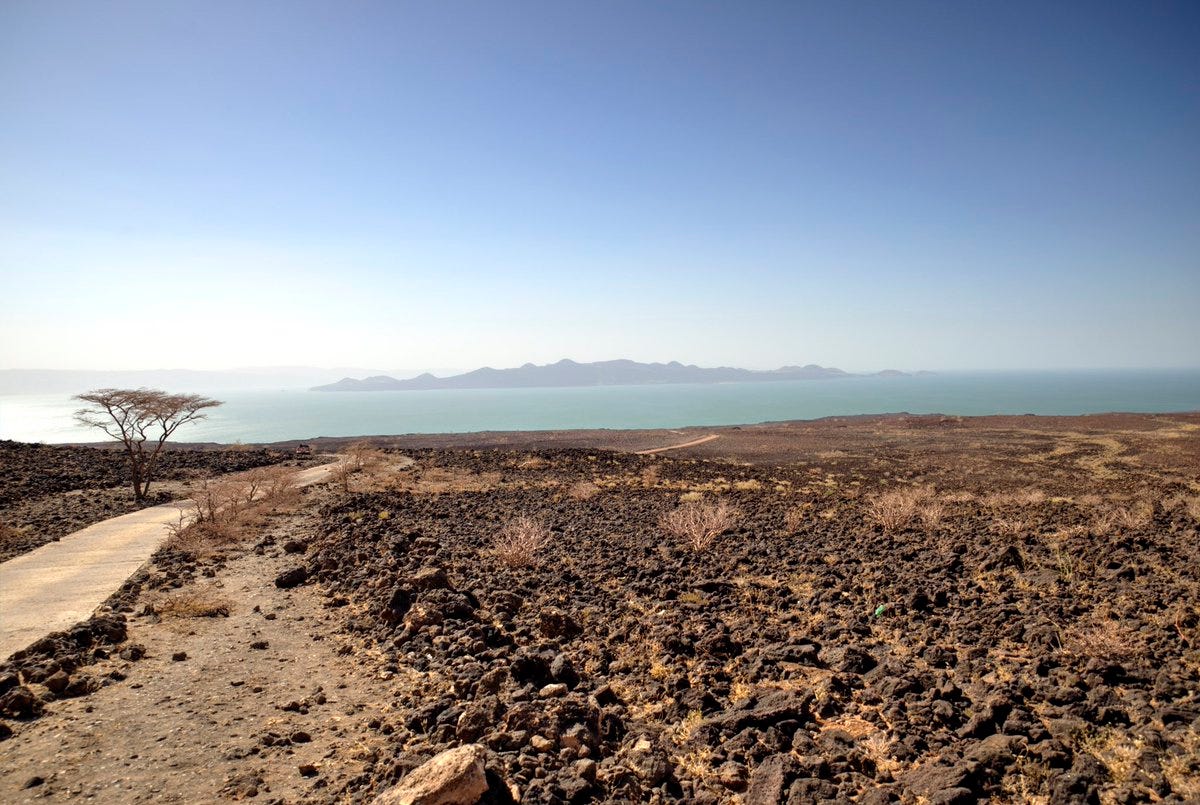 Un Tour Du Monde De La Lutte Contre La Desertification By Onu Developpement Medium