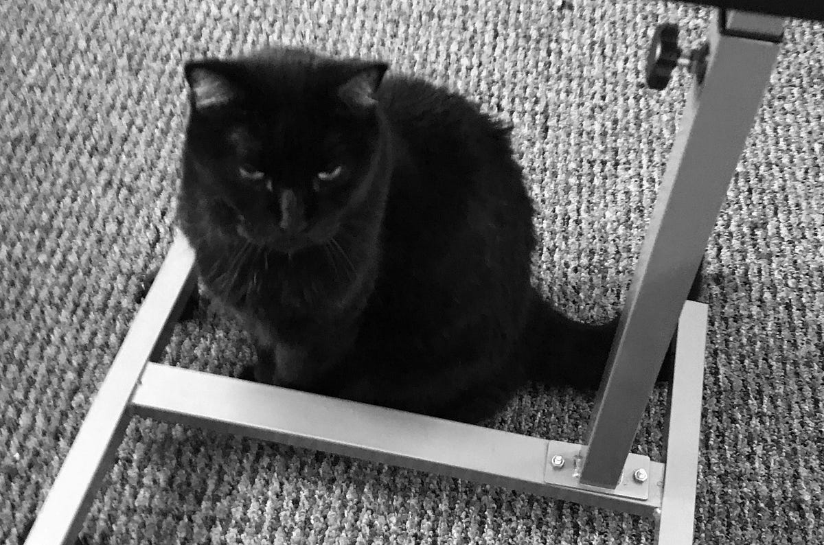 Flicker. My eyes flicker open and I remember who… by Ryan Hicks