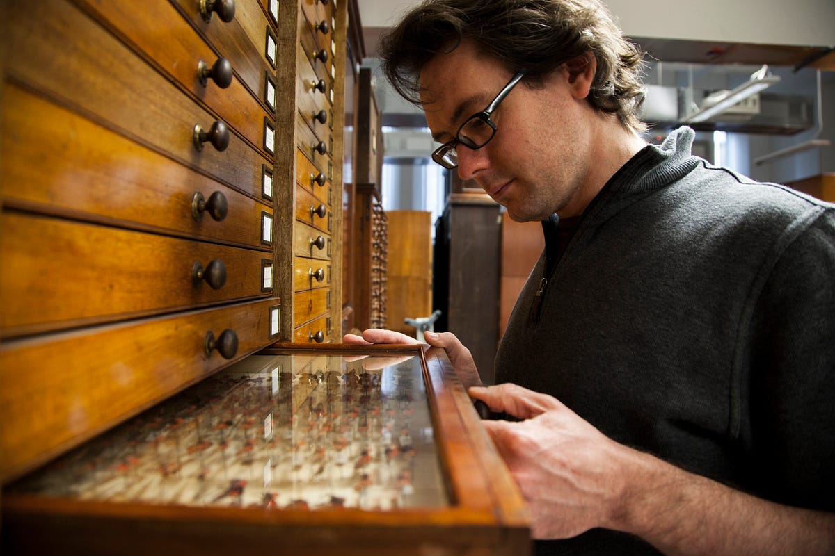The zoologist who looks after more than a million dead