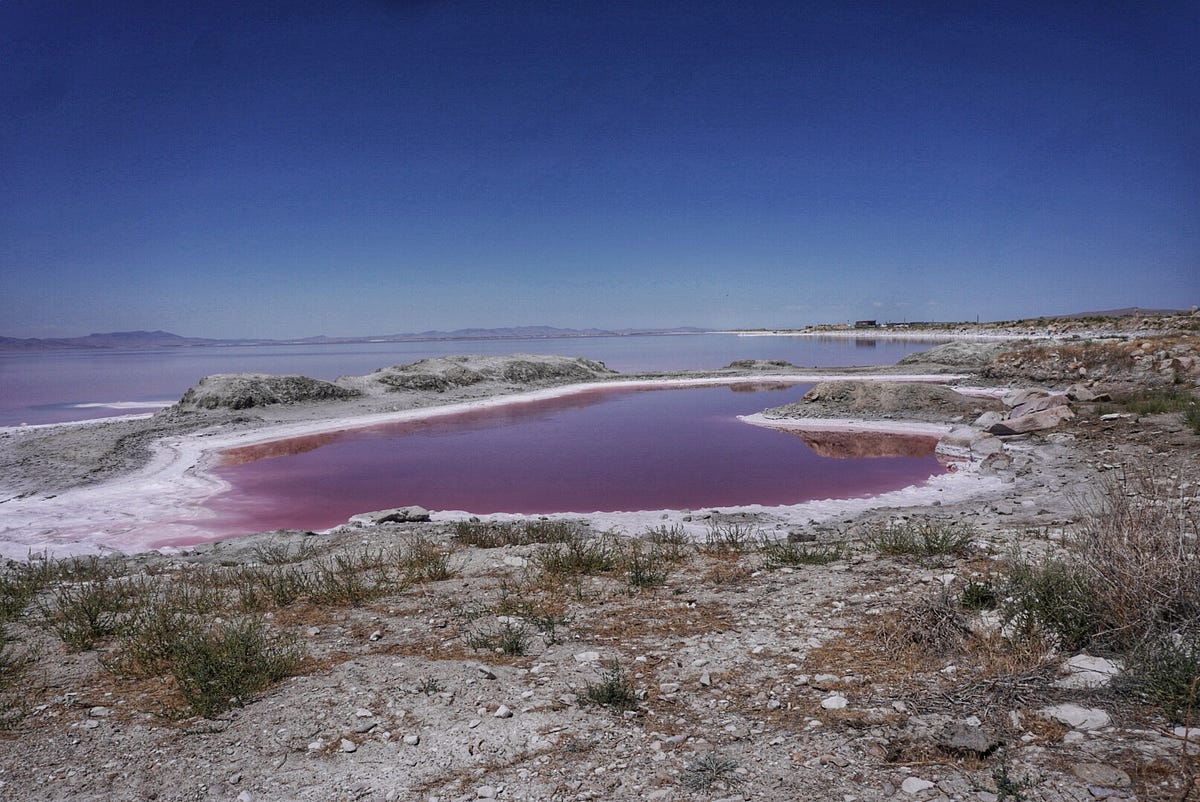 The Search for Pink Water by Alexandria Radford Mind Talk