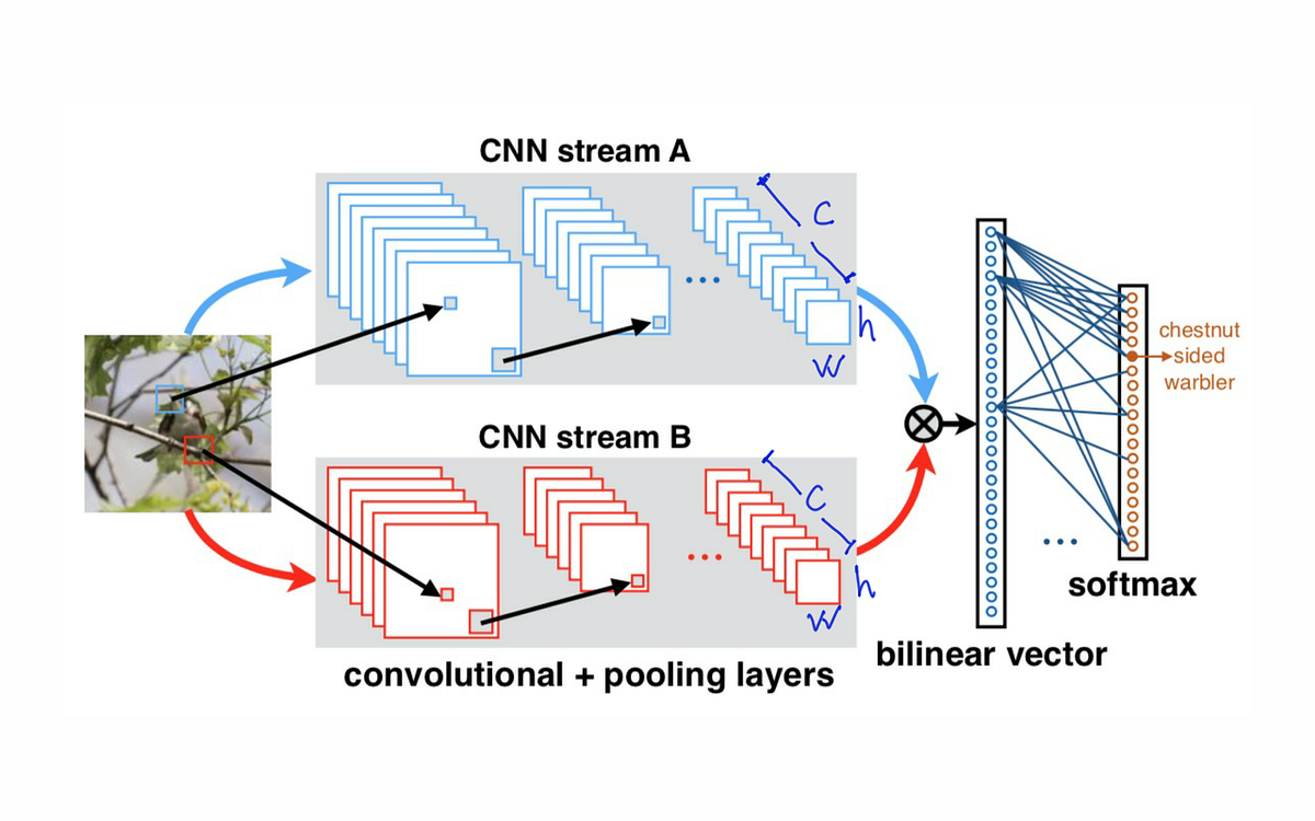 Bilinear CNN Models for Finegrained Visual Recognition by Ahmed Taha