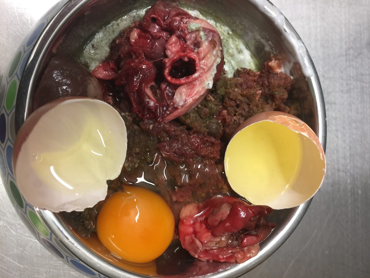 half raw half kibble