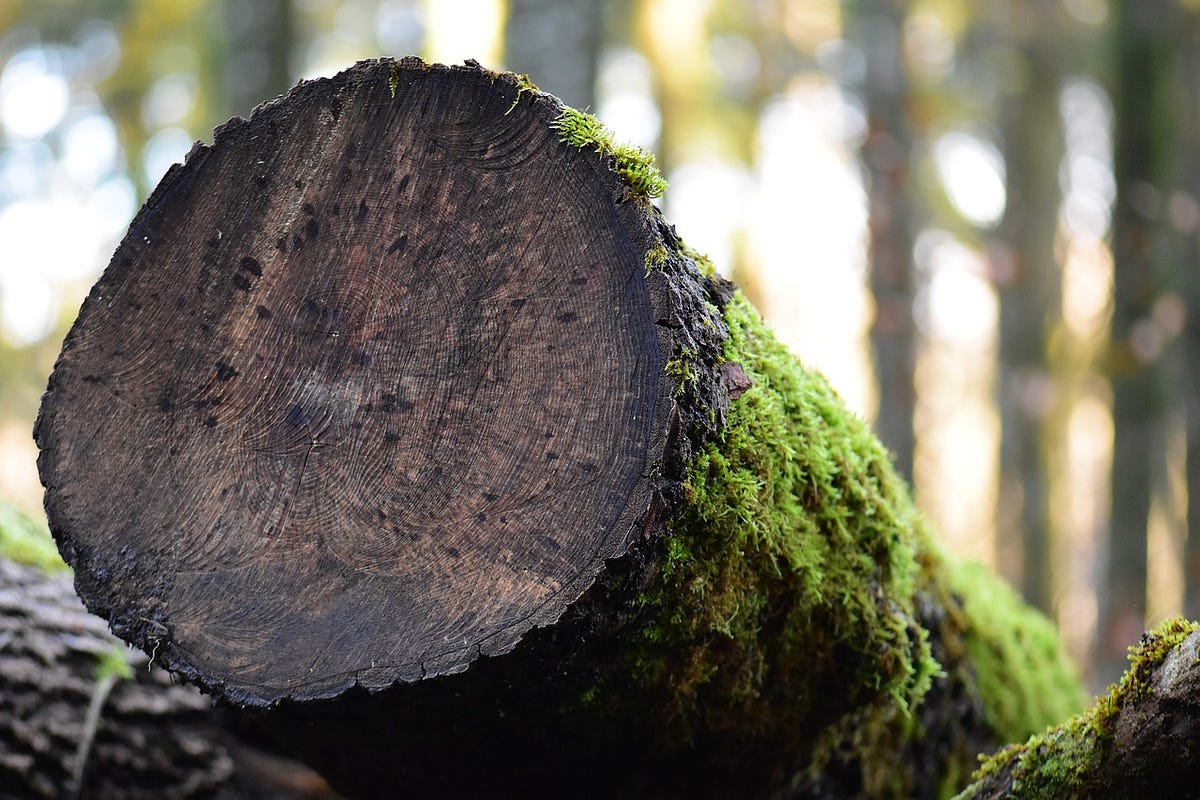 Stripping Logging From Your App, Part 4 SLFJ4 by Clive Lee Medium