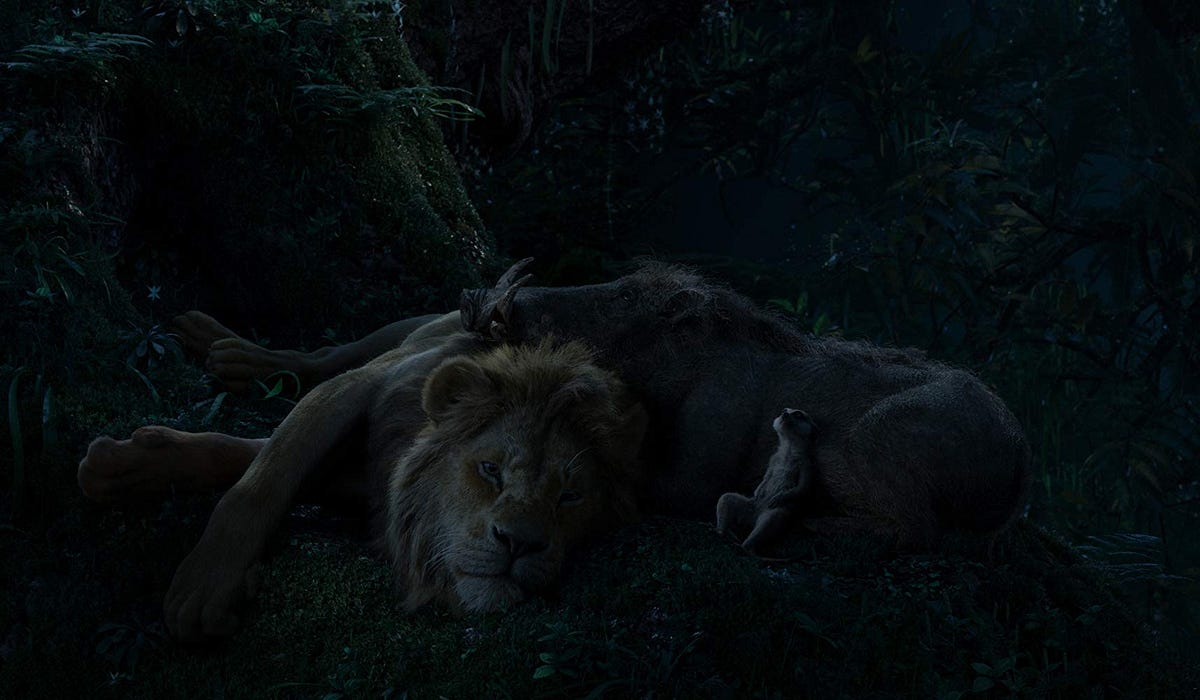 Rey León 2019 Película Completa En Español De España