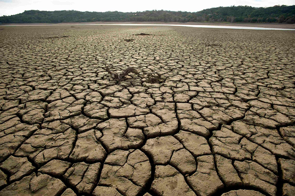 How The Drought Affects Insects And Pest Control By Corky s Pest 
