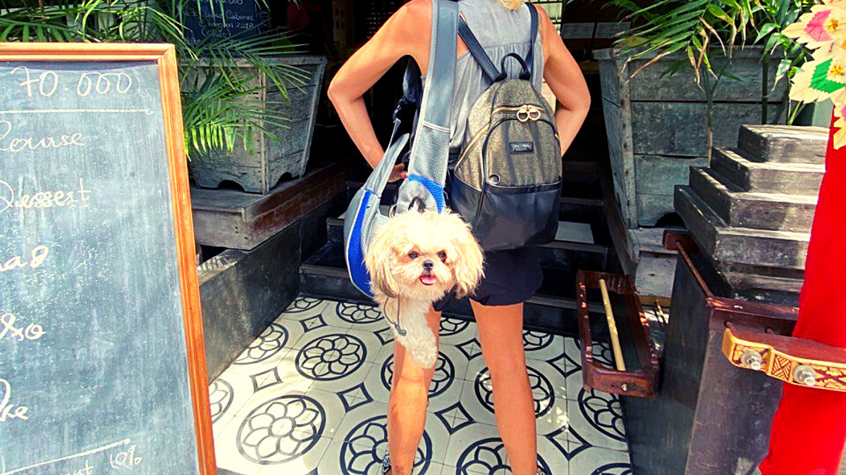 5 Ideas to Start a Business on a Tropical Island