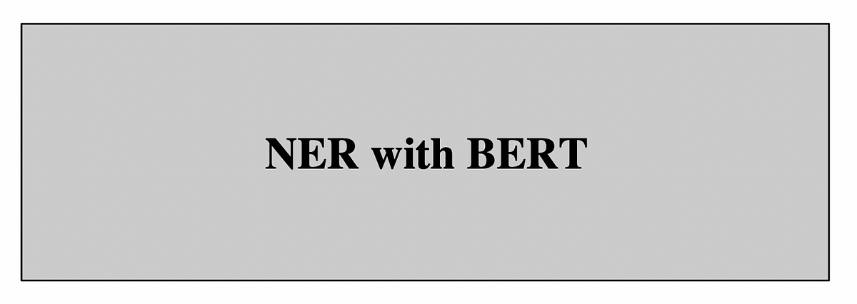 NER With BERT In Action. Do NER With BERT Model With Code | By Bill ...