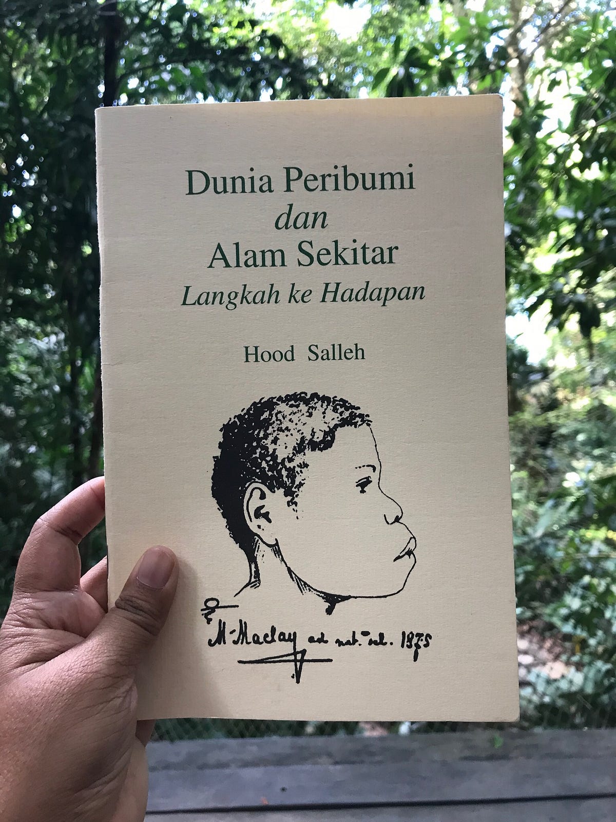 Atau peribumi pribumi Siapakah Orang