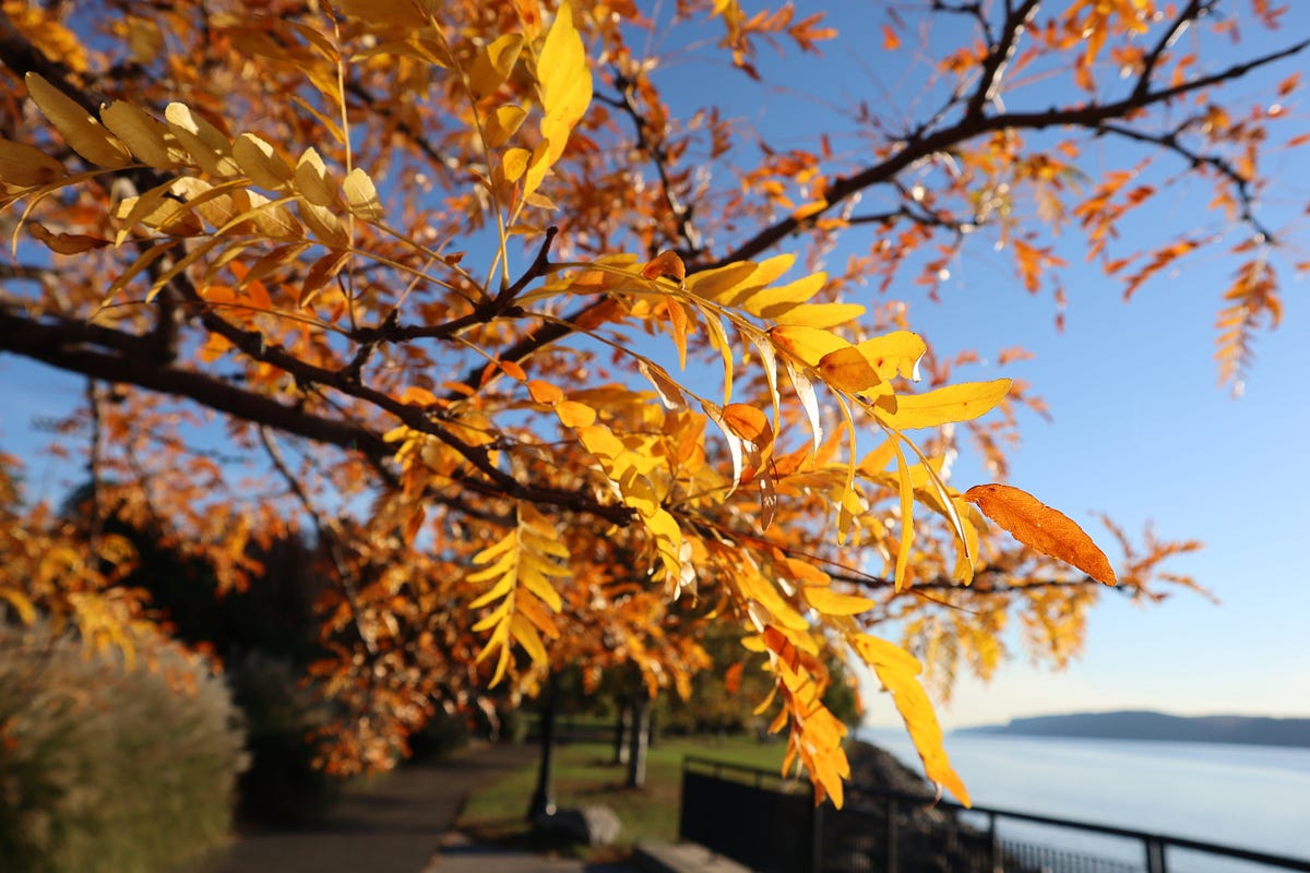 Gems Earned In 2022. Lessons Learned in 2022 by Nelson J.L Gedeon