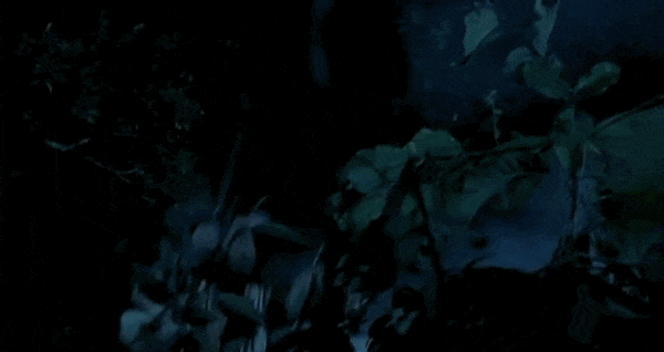 Chinese ghost story. Смотреть фото Chinese ghost story. Смотреть картинку Chinese ghost story. Картинка про Chinese ghost story. Фото Chinese ghost story Chinese ghost story. Смотреть фото Chinese ghost story. Смотреть картинку Chinese ghost story. Картинка про Chinese ghost story. Фото Chinese ghost story