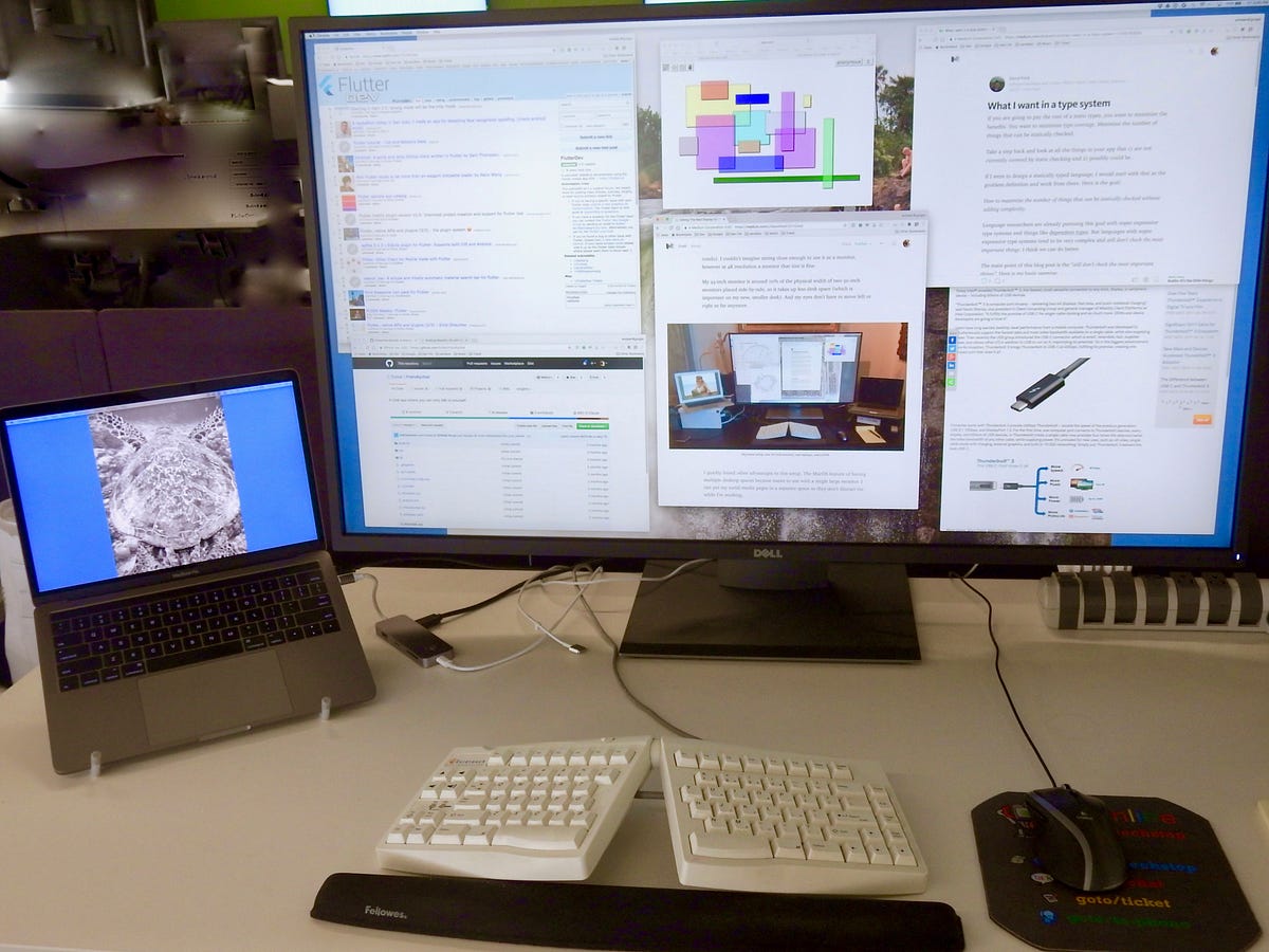 The Best Display for Programming? | by 