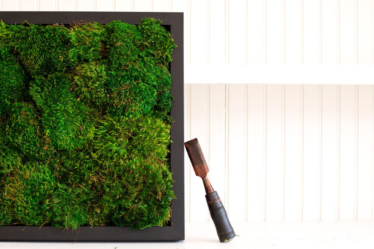 Why Biophilic Design Is Good For You: And “Bio” Terminologies Defined