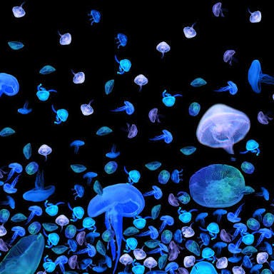 くらげってなんでこんなにかわいいんだろう W カラフルなのはcgかな とにかくかわいいー By くらげ Medium