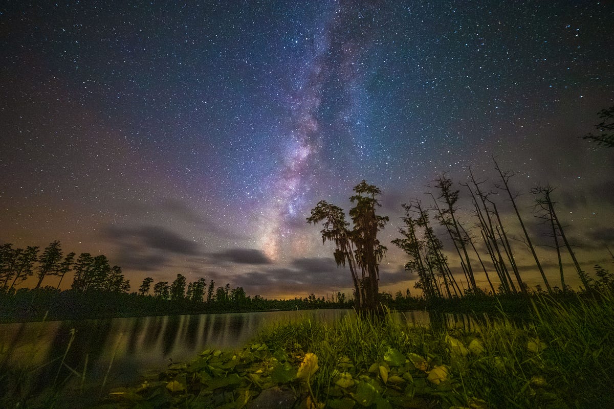 A Journey Through the Okefenokee National Wildlife Refuge and St. Marys