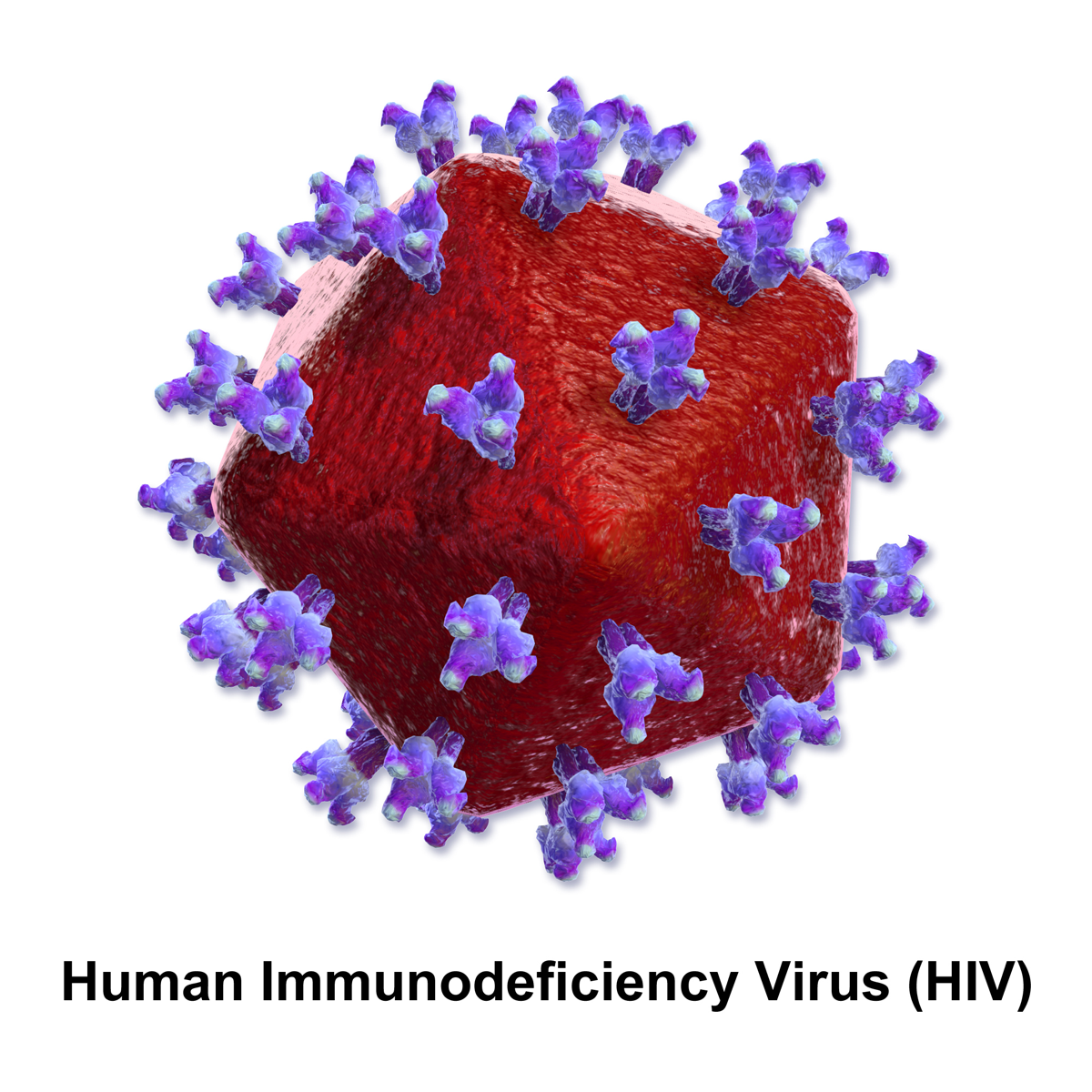 Gene Editing May Have Cured HIV. Here’s Why We’re Not Celebrating.