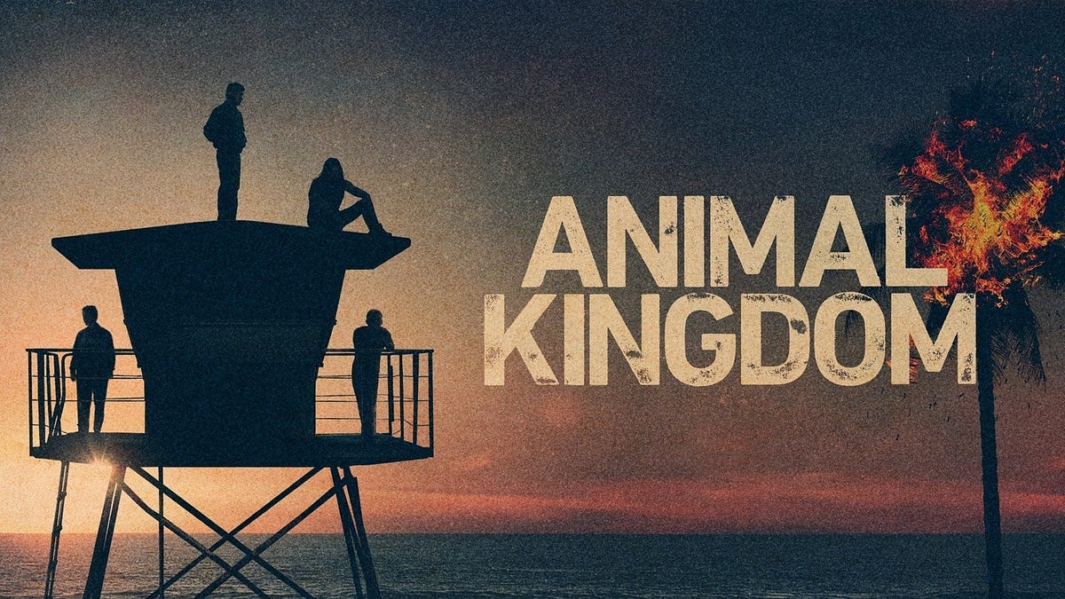 Animal Kingdom 5x9 Series 5 Episode 9 — Full Episode by Animal