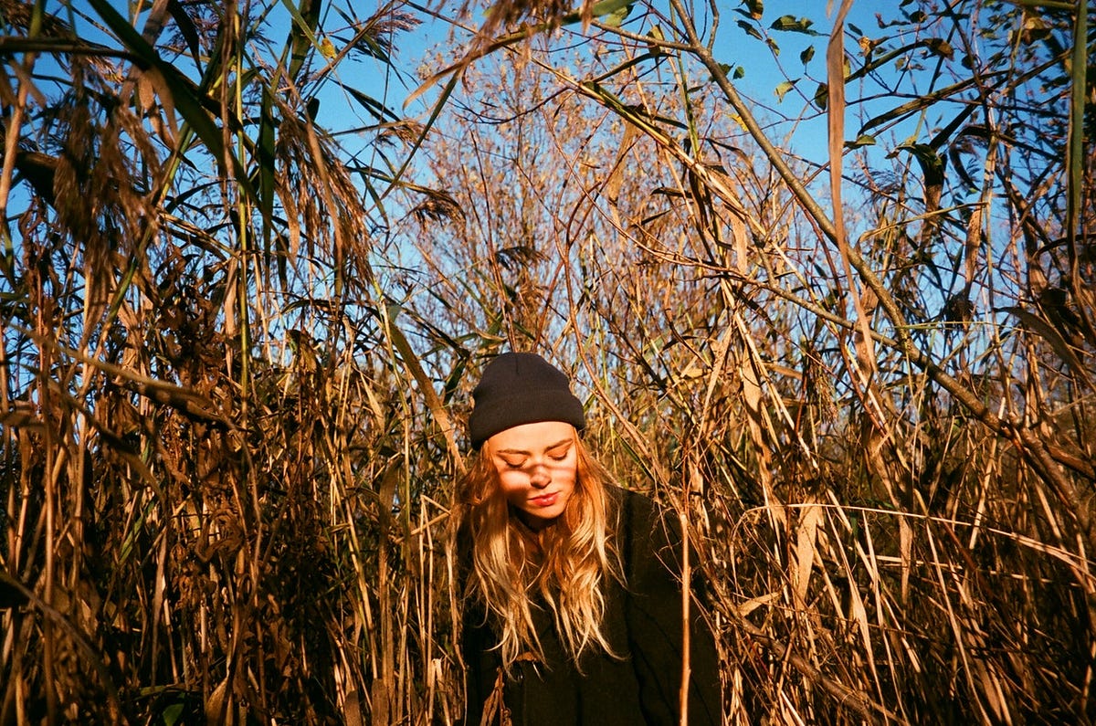 The Shocking Link Between Seis and Success No One Talks About