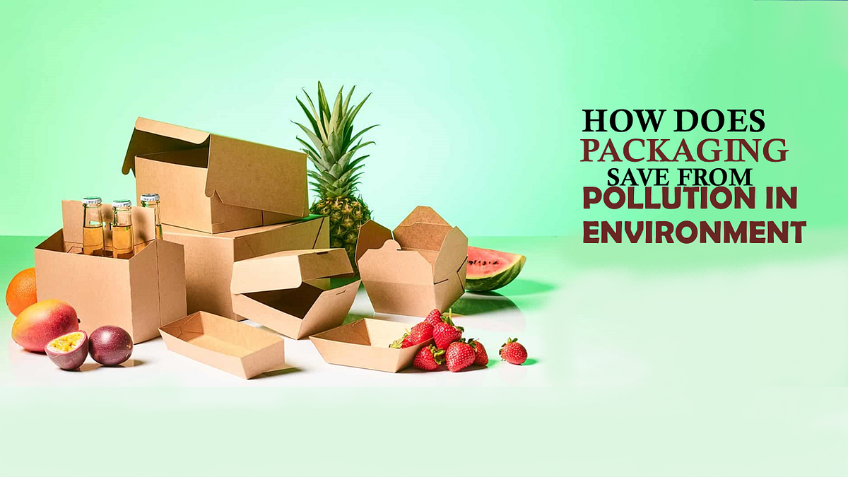 HOW DOES PACKAGING SAVE FROM POLLUTION IN ENVIRONMENT by ellifiajhon