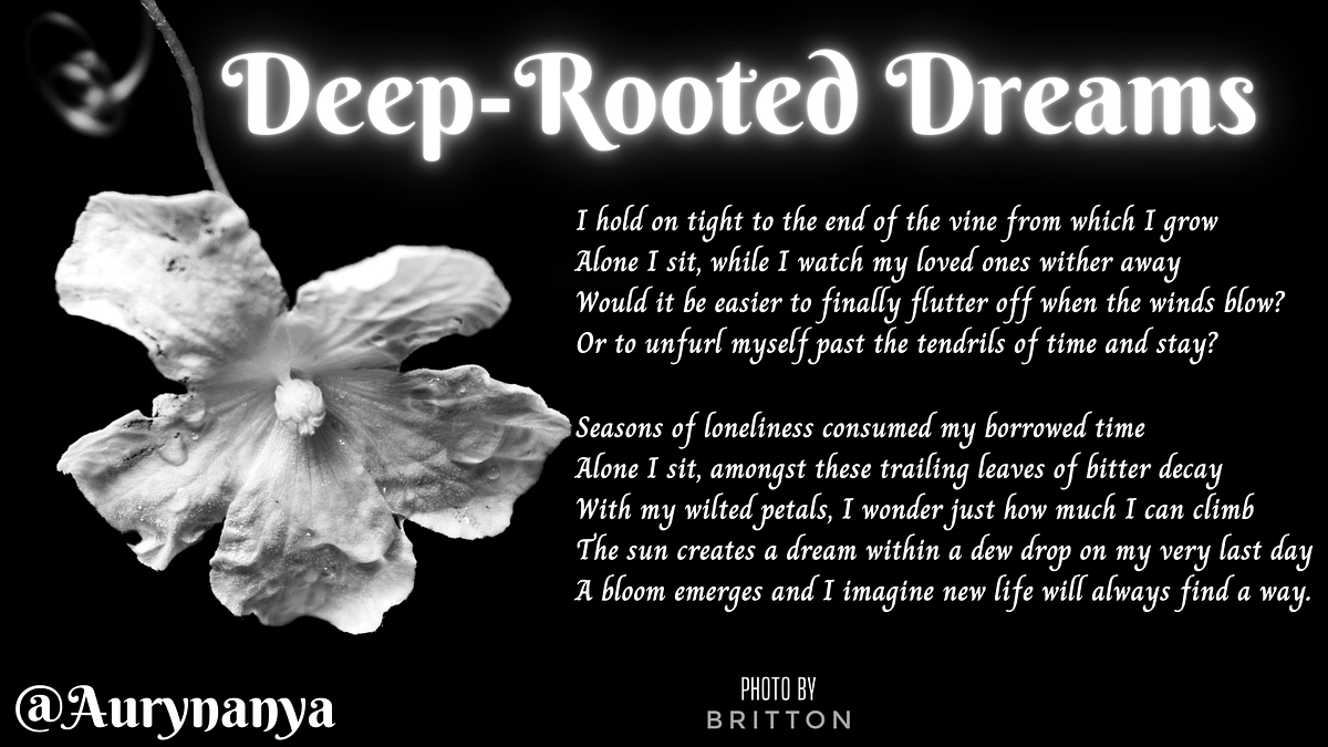 DeepRooted Dreams Aurynanya Medium