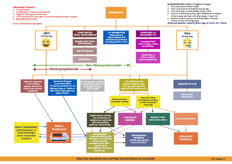 Continence Management Flow Chart