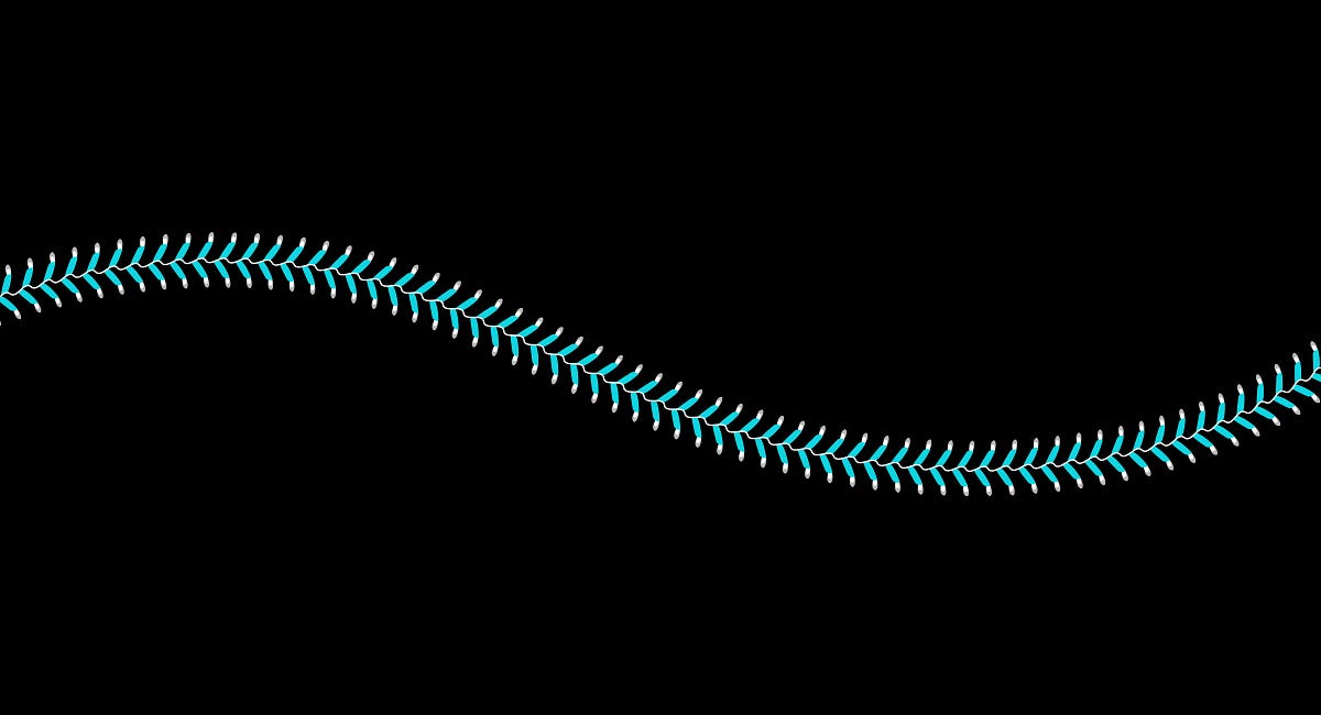 The defiant girls who refuse to play softball instead of baseball by