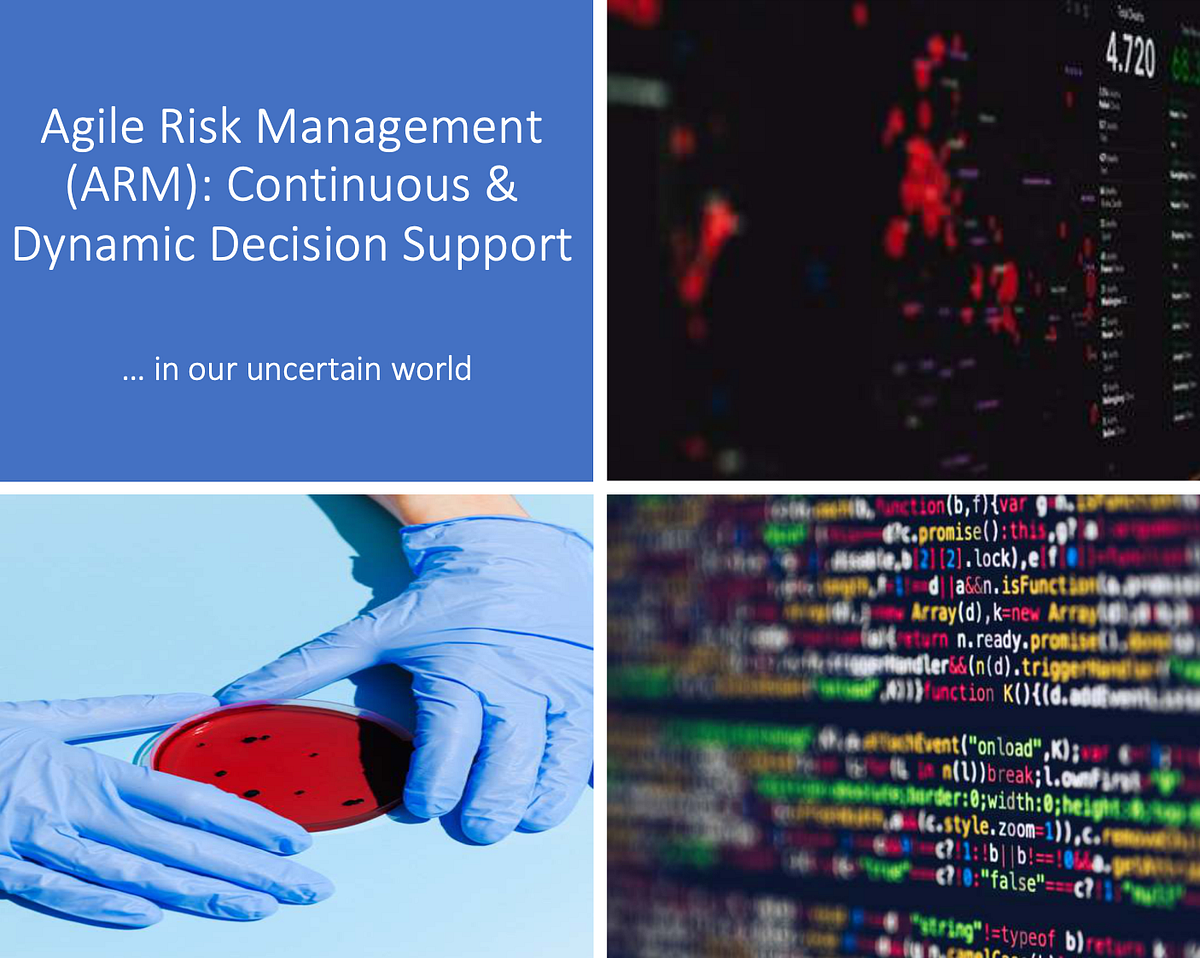 Agile Risk Management (ARM) Continuous & Dynamic Decision Support by