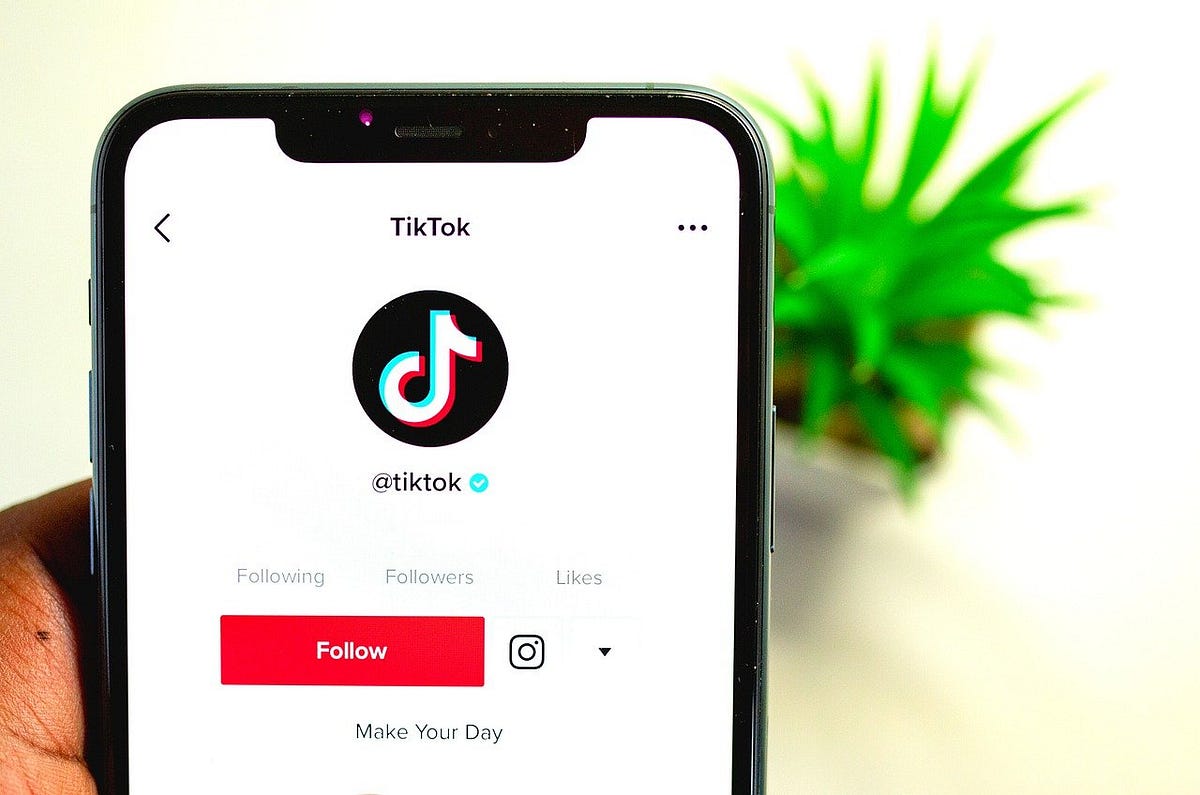 How Much Money Can You Make On TikTok Shocking per View Payments How much money can you make on tiktok shocking per view payments