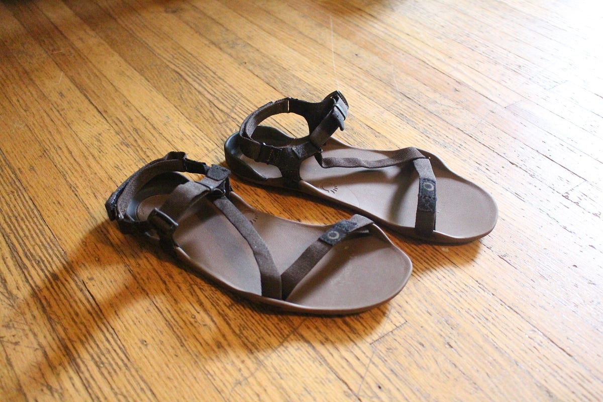 Review Feel The World For Better Or Worse In The Xero Shoes Z Trek Sandal By Back To Bare Medium