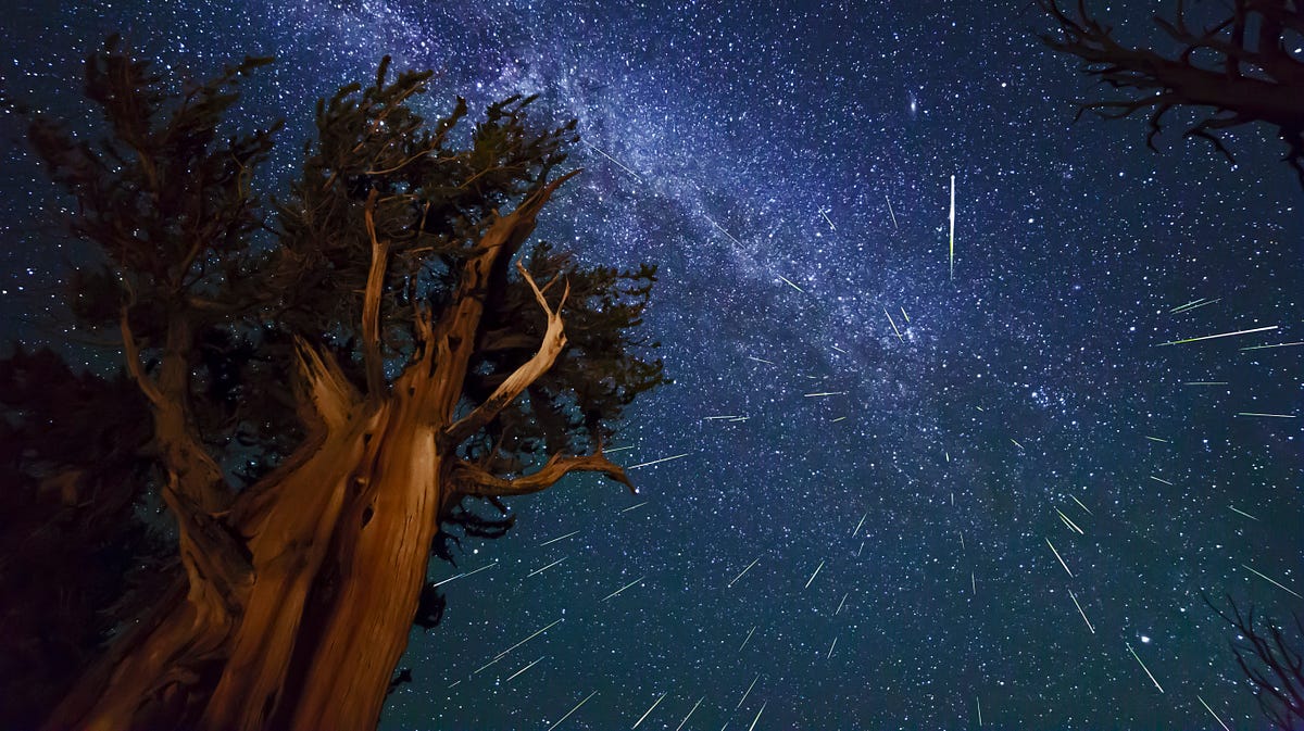 РезÑлÑÐ°Ñ Ñ Ð¸Ð·Ð¾Ð±Ñажение за perseids
