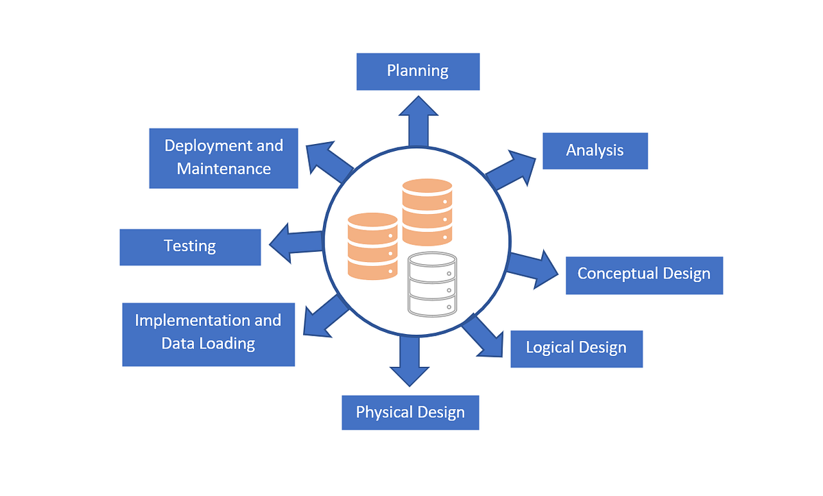 The Different Steps in Database Development Life Cycle by Laura Malovich Medium