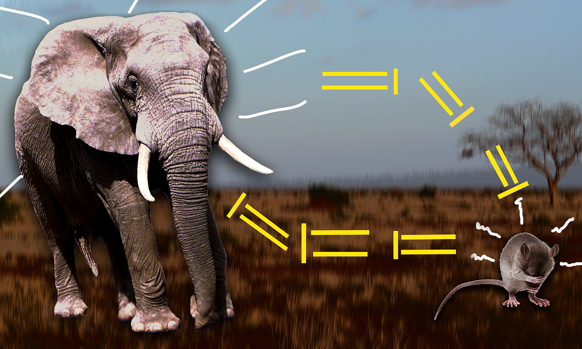 Are Elephants Really Scared of Mice? by Fancied Facts Medium