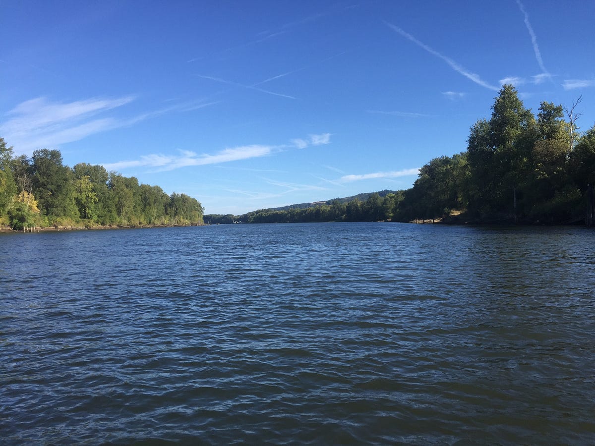 Sauvie Island Part One. It is a fifty mile trip to… by M.H. Curl