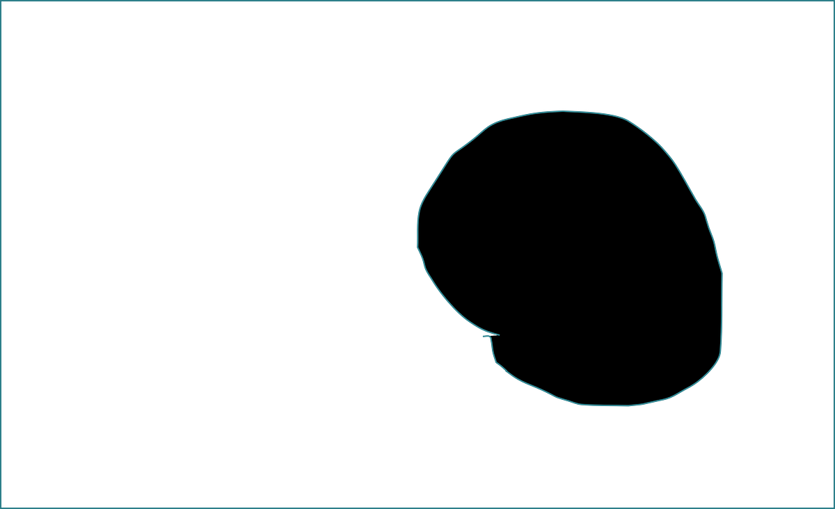 The Black Spot Scuzzbucket Medium